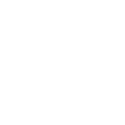 NFL Logo