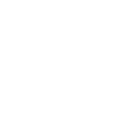 NHL Logo